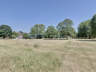 Picture 15